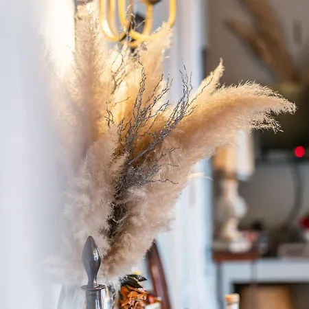 Douro D'heart - Regua - Casa Completa Gæstehus