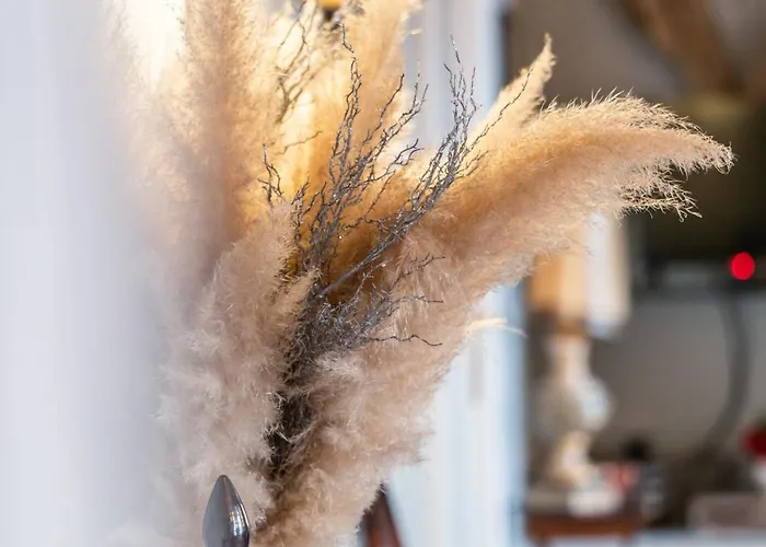 Douro D'heart - Regua - Casa Completa Gasthof